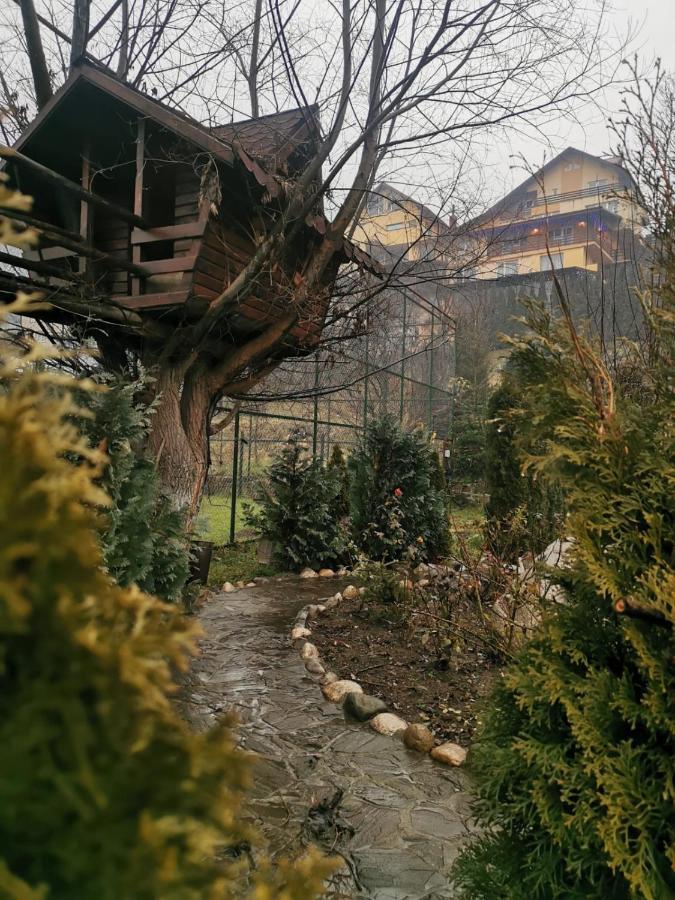 Doftana Apartaments Tesila Экстерьер фото