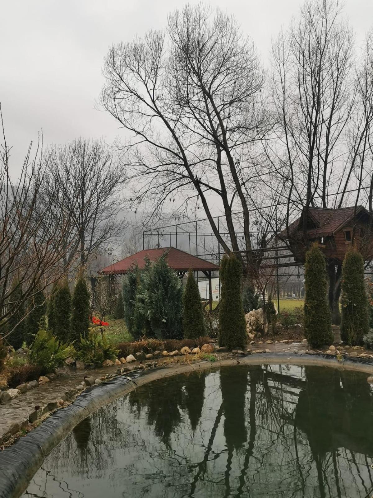 Doftana Apartaments Tesila Номер фото